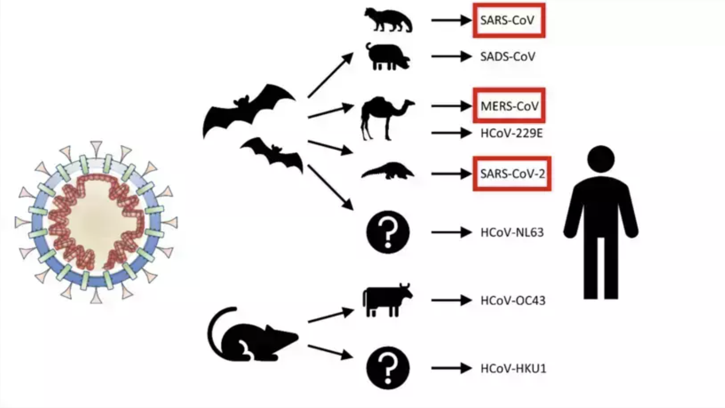 Zoonosis